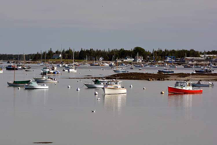 boats in harbor